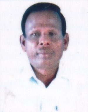 सुब्रमण्यन पी