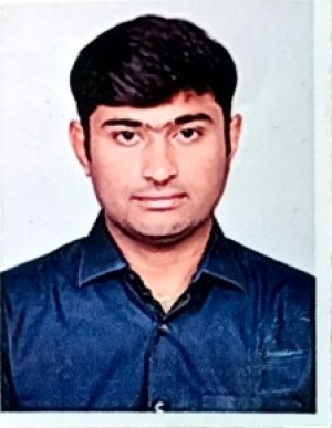 प्रवीण वी