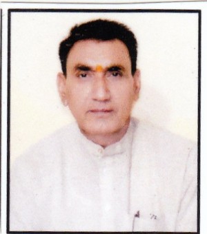 नारायणसिंह पंवार