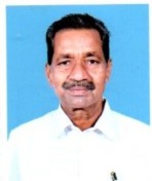 नागमाली वी पी