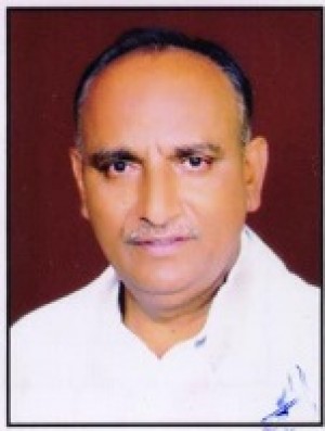 अनार सिंह तोमर (बाबा)