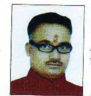 आनंद कुमार पतरालेख