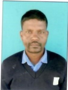 मार्शल सोय