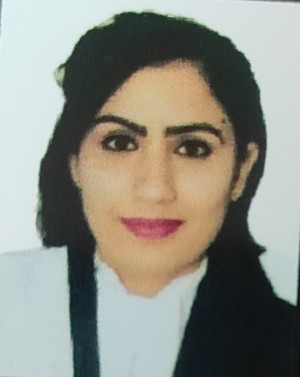 AAFREEN BEE ADVOCATE