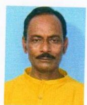 अलोक कोले