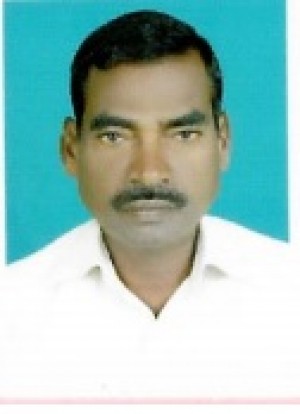 अमलाडोस एस