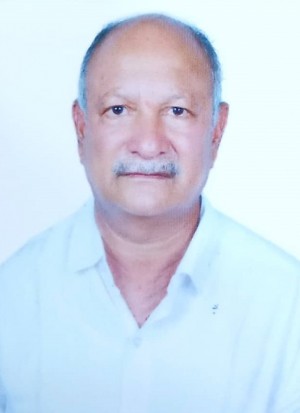 ANDALAGI VEERABHADRAGOUDA SHIVANAGOUD PATIL