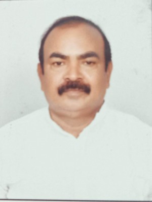 ANDE SRI RAMAMURTHY
