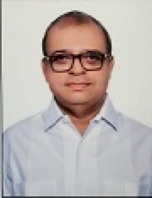 अनिल मीनीया