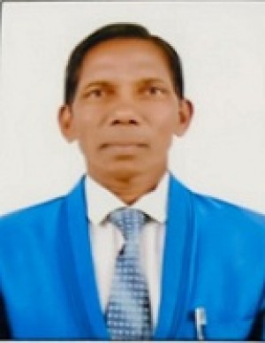 अर्जुनसिंह ठाकुर