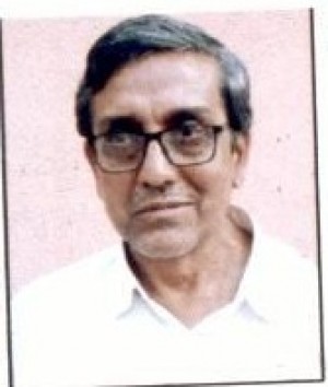 Ashis Kumar Danda