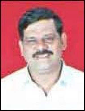Balasaheb Mahadu Sanap