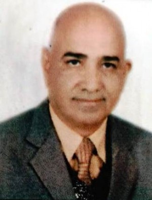 बलवीर सिंह शेखावत