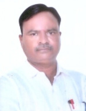 भरतकुमार अमराजी ठाकोर