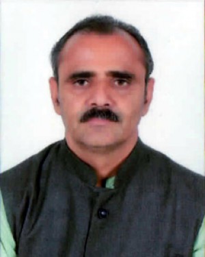 भेमाभाई रगनाथभाई चौधरी