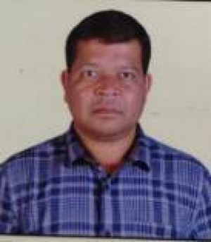 भीमसेन मंडावी