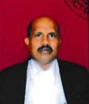 भोगी लाल यादव