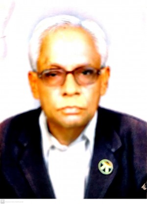 भुवनलाल पटेल अधिवक्ता