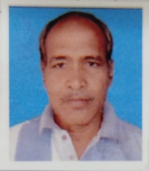 बिमल राय