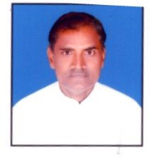 ब्रहचारी व्यास नंदन