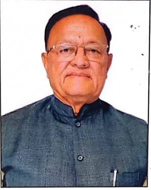 बुलाकी दास कल्ला