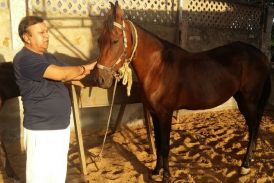 महेंद्र सिंह रालावत