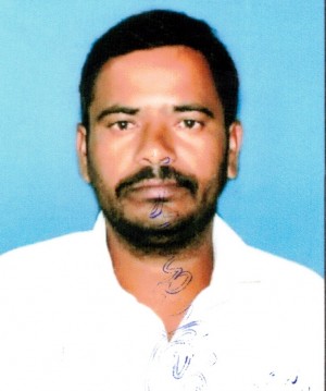 D. ELLAM