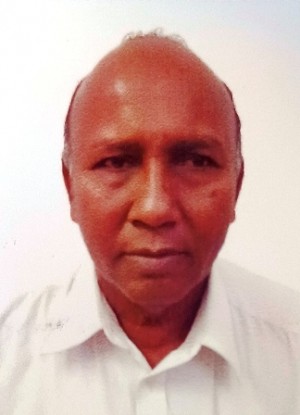 डाह्याभाई रामाभाई जादव