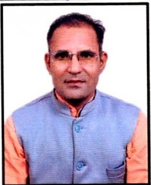 DANVEER VIDYALANKAR