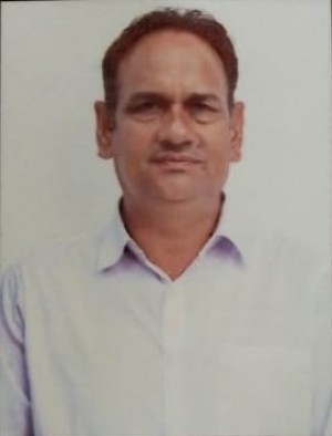 देवी सिंह शेखावत