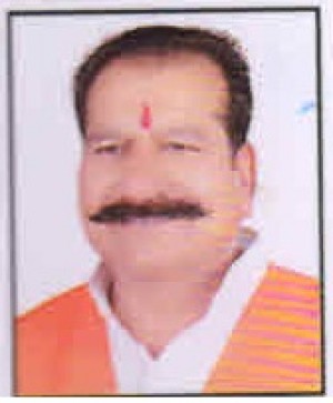 दिलीप‍ सिंह परिहार