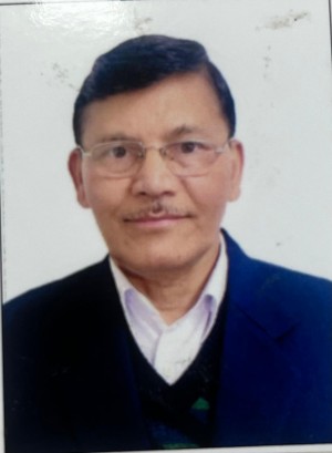 DINESH CHANDRA NEPAL