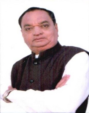 दिनेशभाई बालुभाई पटेल