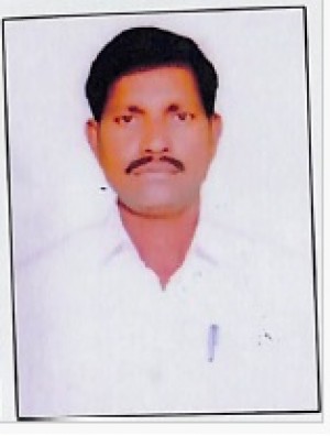 डी. मेडि. रमण