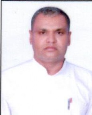 द्वारका प्रसाद मीना