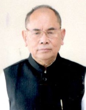 ELANGBAM DWIJAMANI SINGH