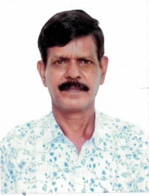 गुनसकर वी