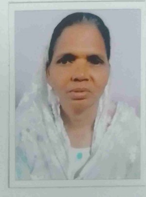 गुरुवारी जीनत परवीन