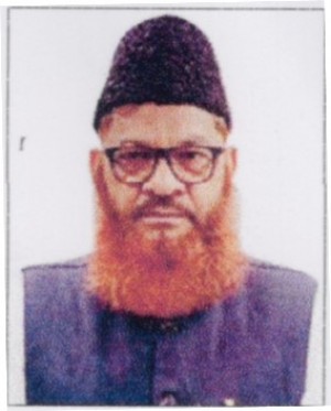 H.M. HASHIM MALIK