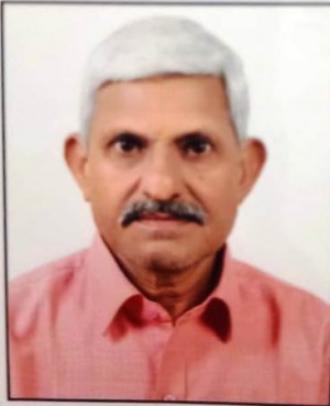 हरि नारायण मीना