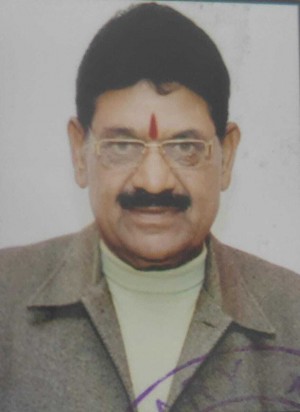 हरीसिंह रघुवंशी 