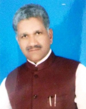 हेम नारायण साह