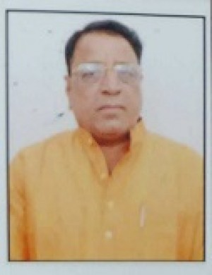 हेमसिंह