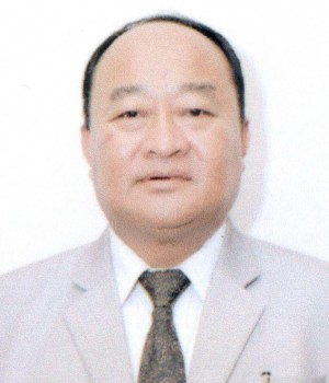I.P. JUNIOR