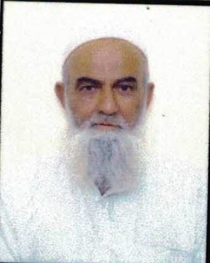 इब्राहिम बेग