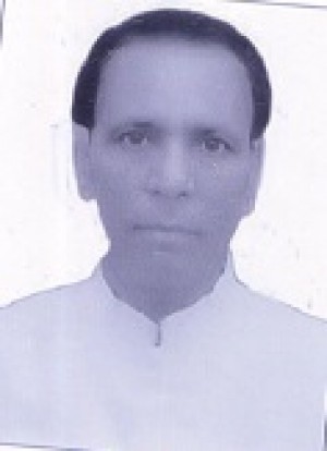 कमल कुमार सिंह
