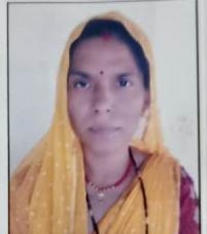 कोली मीना