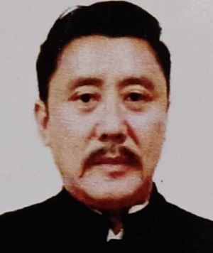 LIKHA SAAYA