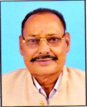 मगनसिह बघेल