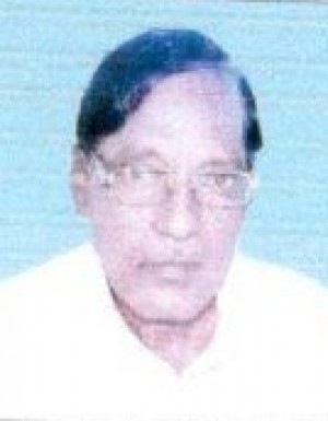 Mahendra Singh Parchadhari